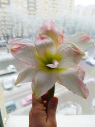 IMG_20250212_084711.jpg