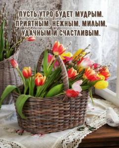 textopics_ru_29867.jpg