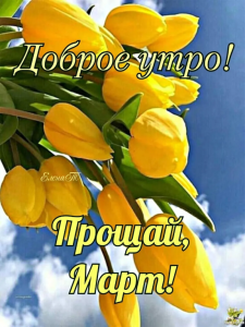 13c36224-fa3c-451a-b6d1-0c32d9fc0632.png