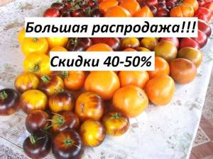 Распродажа.jpg
