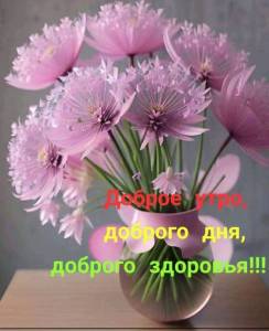 237d34924f4d3ac2f42ec6d35e8aa86c.jpg