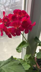 3A431F69-B68B-4ABE-9D33-D5DB180B1B5E.jpeg