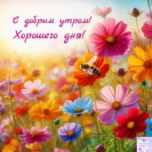 IMG-20250226-WA0006.jpg