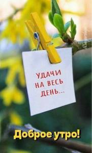 IMG-20250318-WA0006.jpg