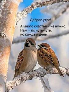 IMG-20250321-WA0009.jpg