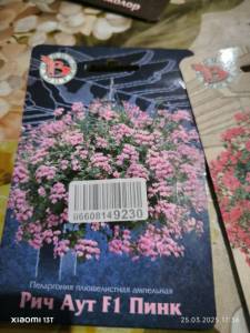 IMG-20250326-WA0011.thumb.jpg.af857b86f23c89a777369783adb66668.jpg