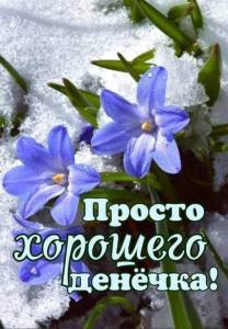 IMG-20250327-WA0002.jpg