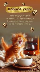 IMG-20250329-WA0330.thumb.jpg.b1ba5141bb697f2bd17dd5d08780b446.jpg