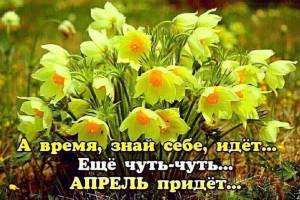 IMG-20250331-WA0012.jpg