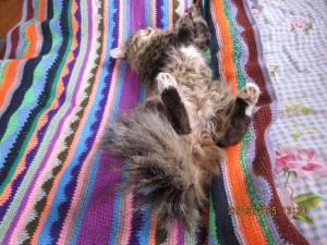IMG_0632.thumb.JPG.059b1ef036d316363049c51ea2f40900.JPG