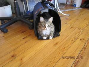 IMG_0634.thumb.JPG.4ef5d1747501bdea178e38227864b667.JPG