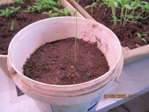 IMG_0637.thumb.JPG.43eecf13bab0f60d3a84919a7c90157e.JPG