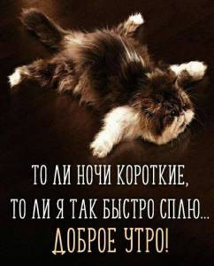 IMG_20250330_074447_833.jpg