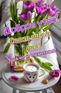 IMG_20250330_074459_720.jpg