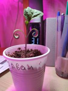 IMG_20250330_182855.jpg
