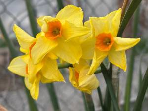 IMG_3298.jpeg