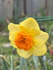 IMG_3342.jpeg