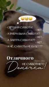 IMG_8660.jpeg