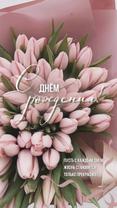 image.thumb.png.01c6be0bba3687e70d7ae7d7877c3fe0.png