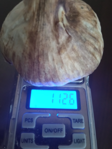 image.thumb.png.3aa7a9791fe186c04639283eb85c3966.png