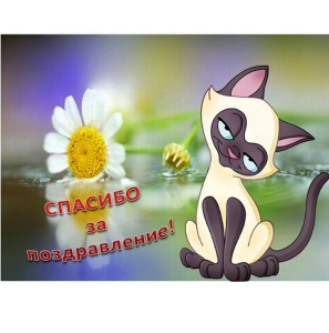 image.thumb.png.42fbb1997088a817d300d518e4751800.png