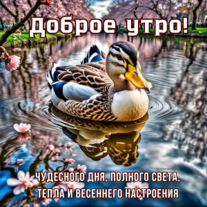 image.thumb.png.6b43fd482498c580e0f841f0b54d4f30.png