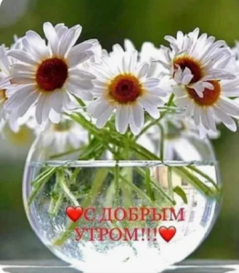 image.thumb.png.f253c464263f0778887825db0b56e877.png