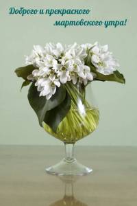 imagetext_ru_62741.jpg