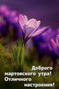 wishpics_ru_1782.jpg
