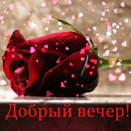 01a650bf9807e4a35b3ca439289b93ca.gif
