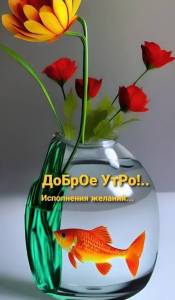 03146eecd824b8feb7b6161916dd4251.thumb.jpg.9708a007a7c2883c8426ae864129a5af.jpg