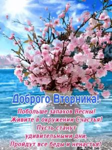 05cac5a8-801b-4fa5-b00b-dd970dfdff01.png