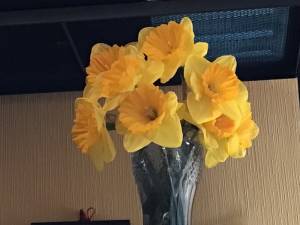 064D3777-B69C-4C5A-838A-DB7AC12F3244.jpeg