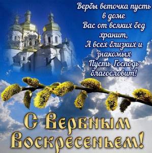 0D3CEEC8-765D-4FD1-A421-F5F8D6461D13.thumb.jpeg.2aa85f302aa5595925745c9b67a270f3.jpeg