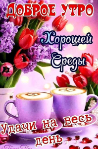 0b77c0c8-7b5b-4c0c-9fb0-00f9062af7d5.png