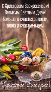 0eeb82ff5646e4fa6d6fb03bce8e0f79.thumb.jpg.e288f9aba7f7a3c928108038abd2d7cc.jpg