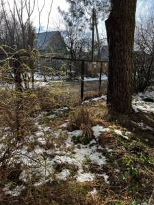 129e1786-8c42-463a-a54d-3530e11c1046.jpeg