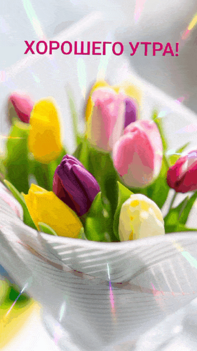 137.gif
