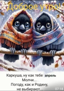изображение_2025-04-12_100724326.png