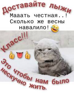 1744121563975.thumb.jpg.6f985dea672c681425e864758bb8a6c3.jpg