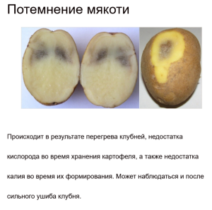 темная мякоть  картофеля.png