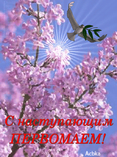 с наступающим.gif
