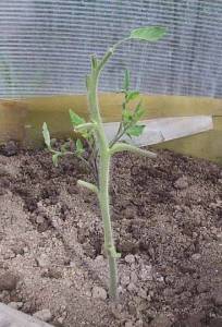 2.thumb.JPG.db802bebb3539008cc5b1e55c97e8c40.JPG