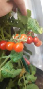 20250401_210429.jpg