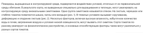 Screenshot 2023-04-17 at 08-34-35 Edema on Tomato Rootstocks.png
