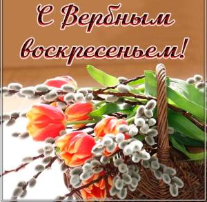 34286E12-7236-4152-9B55-4EE09EB0146F.thumb.jpeg.ec6c8c8d3cbf861d363abbf351cd859c.jpeg