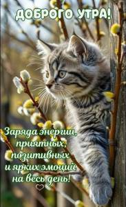 354570408f0df50b99be8a4f9e88b1b1.jpg