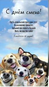 383cd0eb30340fadf483691a821b95fb.jpg