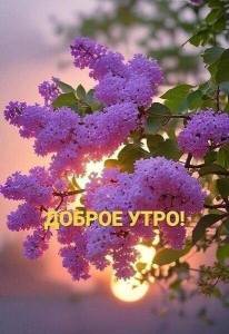 47356e88874cee5d1eaf90219d92b26a.thumb.jpg.d6fe99a498effc29e0c47c462bb526cb.jpg