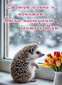 4A448486-C21E-46B9-9071-80BE8771C40D.thumb.jpeg.15a008a91a49ccd6821cdf71ed8ce39b.jpeg